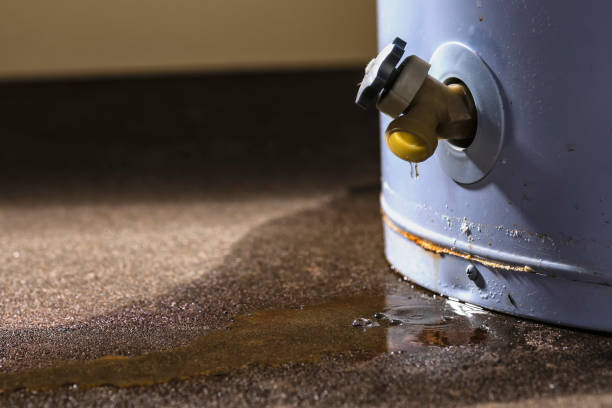 Best Fire Damage Restoration  in Hampton Beach, NH