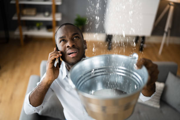 Best Mold removal after water damage  in Hampton Beach, NH