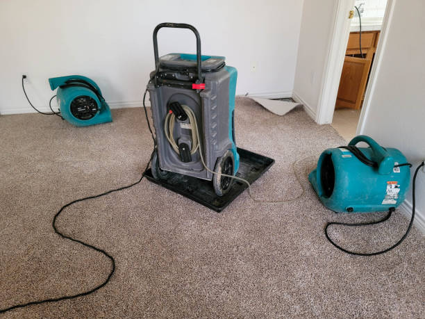 Reliable NH Water damage restoration Solutions