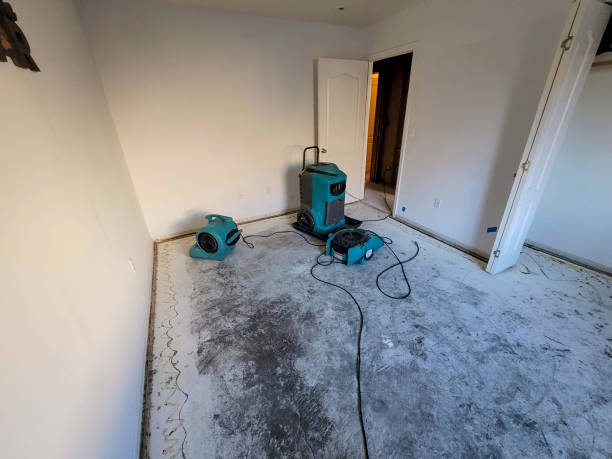 Best Water damage contractors near me  in Hampton Beach, NH