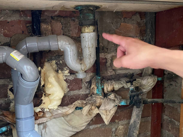Best Basement water damage restoration  in Hampton Beach, NH
