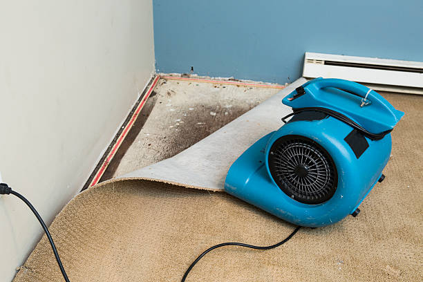Best 24/7 water damage repair  in Hampton Beach, NH